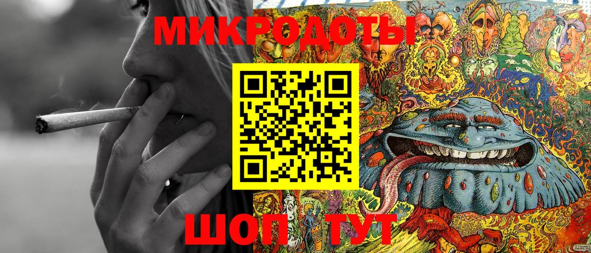 Псилоцибиновые грибы Cubensis Новоалтайск