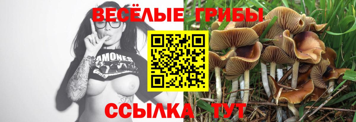 Псилоцибиновые грибы MAGIC MUSHROOMS  Вход с VPN  Новоалтайск 